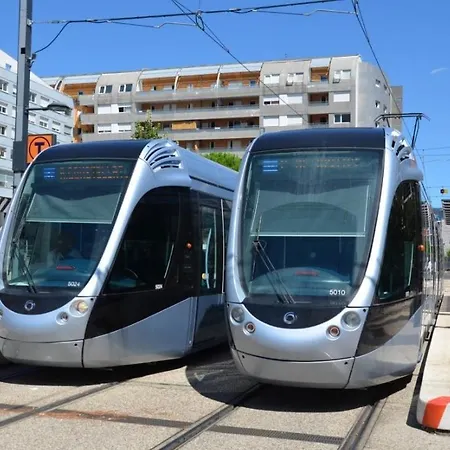 アパート Horizon Paisible - Piscine Et Parking ! トゥールーズ